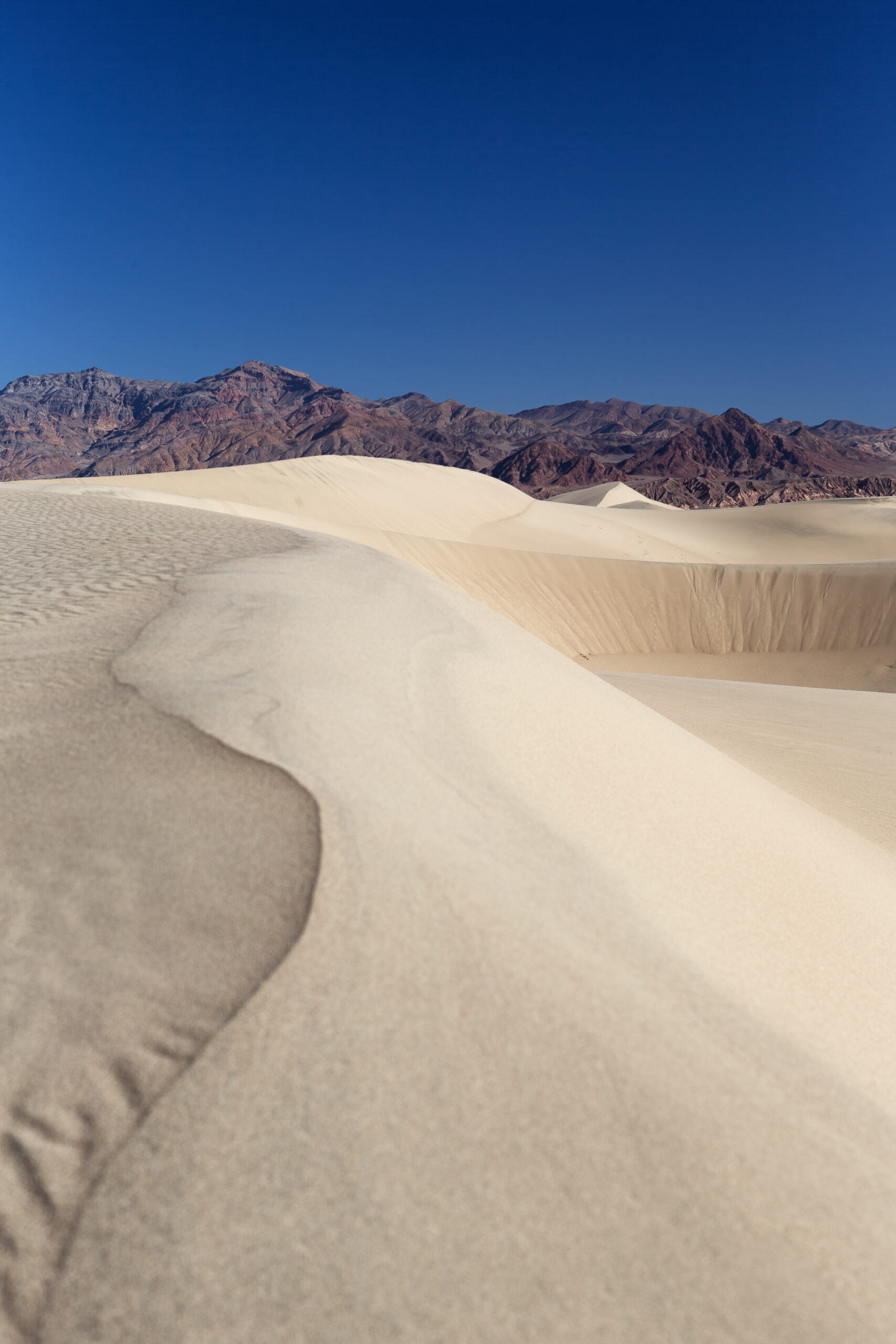 Line In The Sand