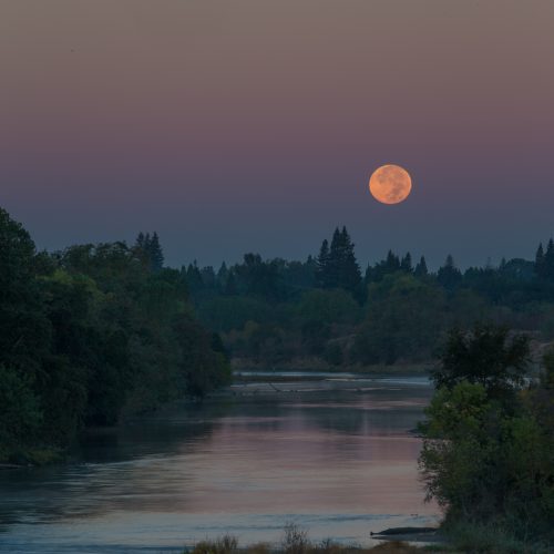 Eye On The River