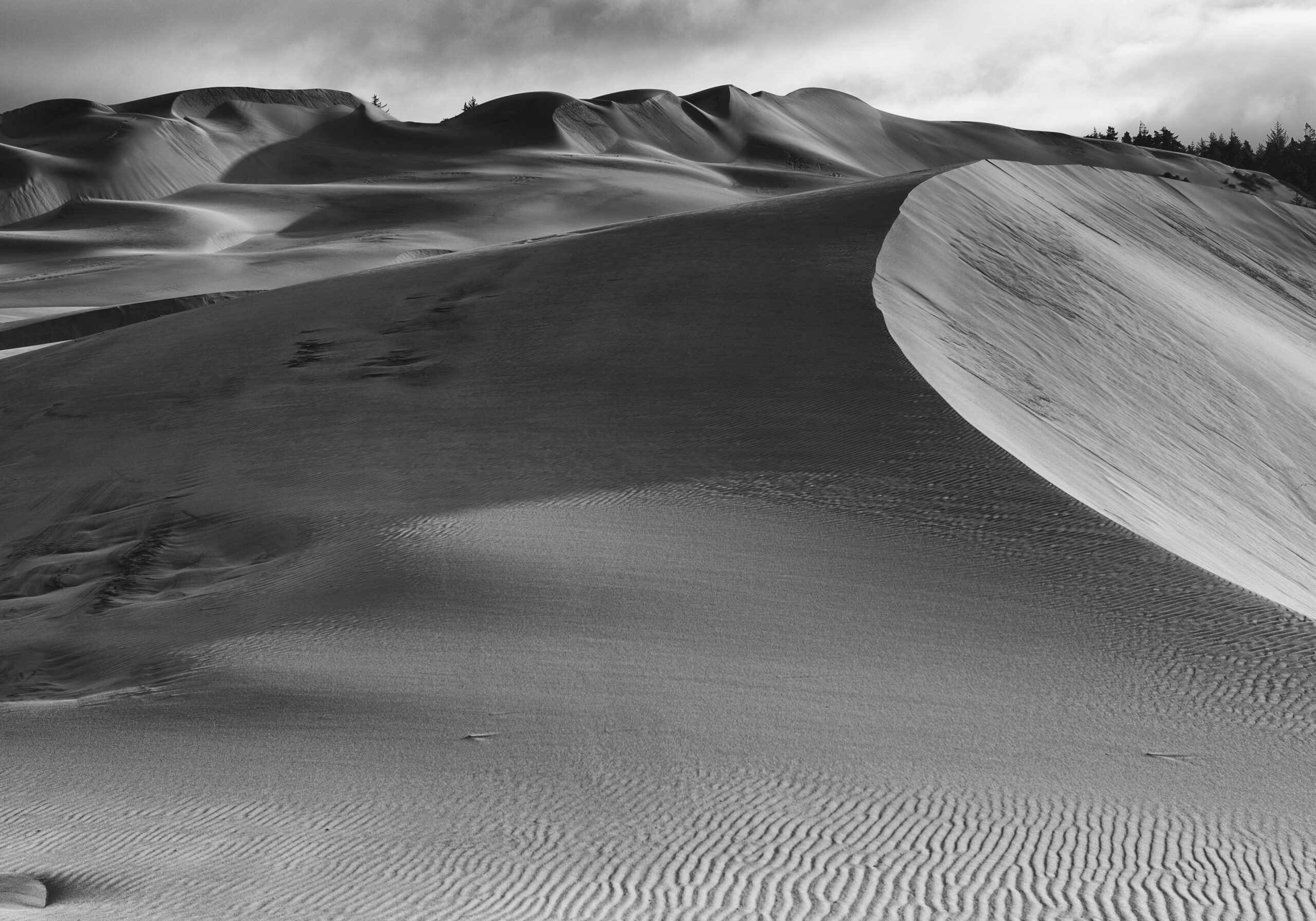 Line In The Sand